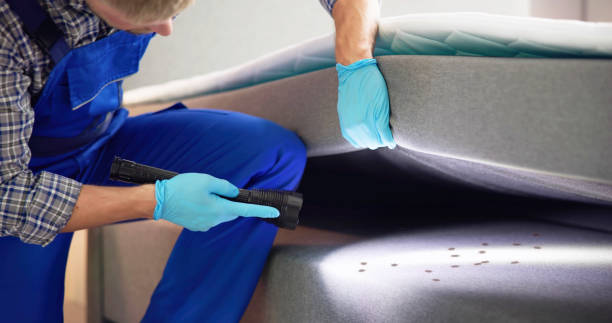 Wasp Removal Services in Bowling Green, OH