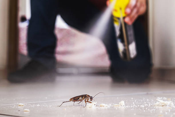 Professional Pest Control in Bowling Green, OH